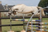 Cannache