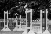 Ira de Garenne
